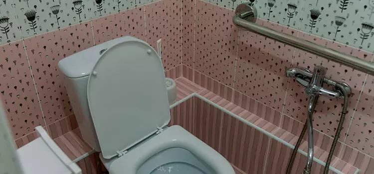 Meeting Diverse Needs With Accessible Restroom Solutions in Roy, UT